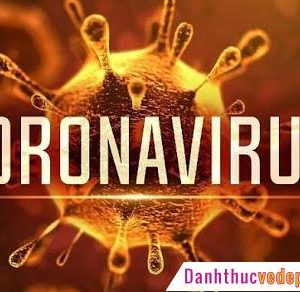 virus corona tinh hinh the gioi 3 1